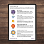 Pre-Order: The Cosmos and Our Solar System, Full Family All-Inclusive Unit