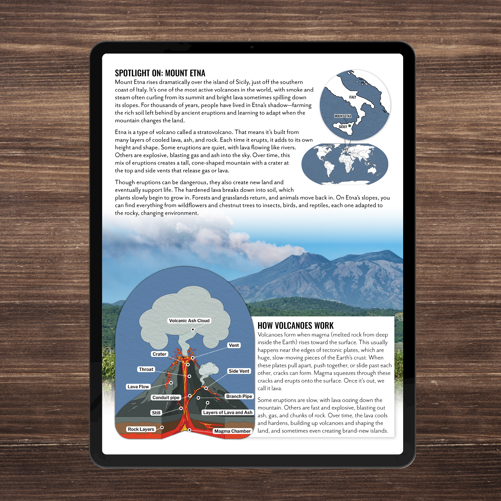 Wild Wonders: Full Family All-Inclusive Unit