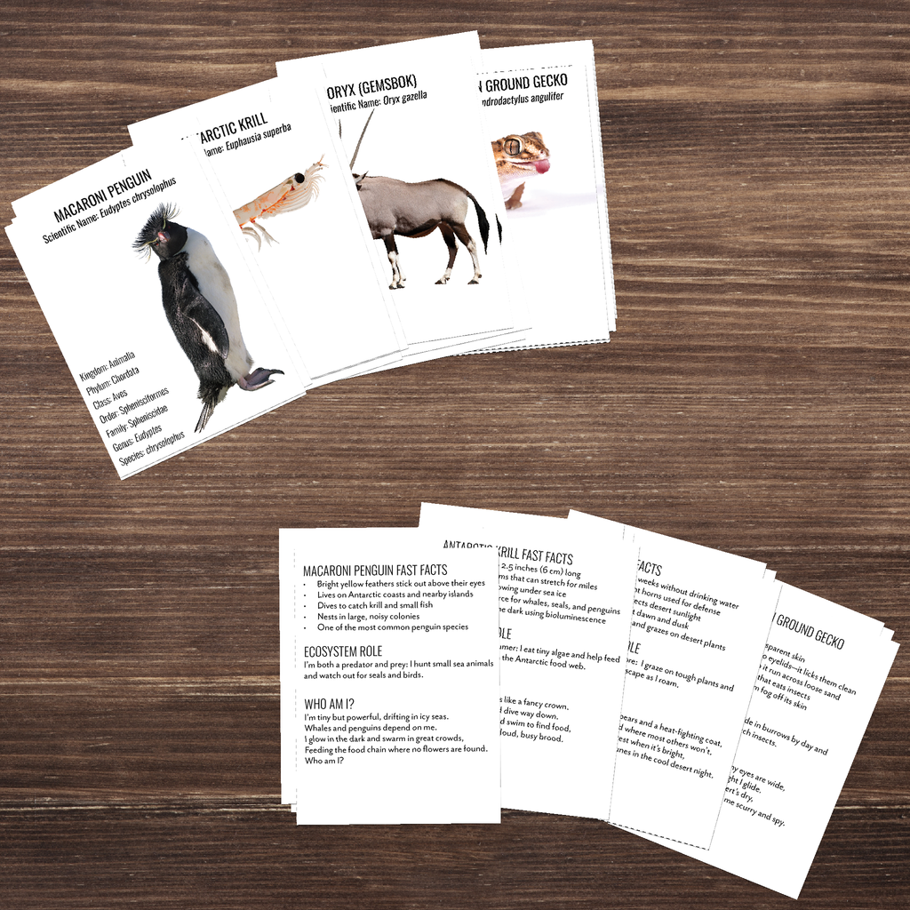 Wild Wonders: Full Family All-Inclusive Unit