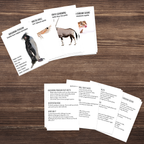 Wild Wonders: Full Family All-Inclusive Unit