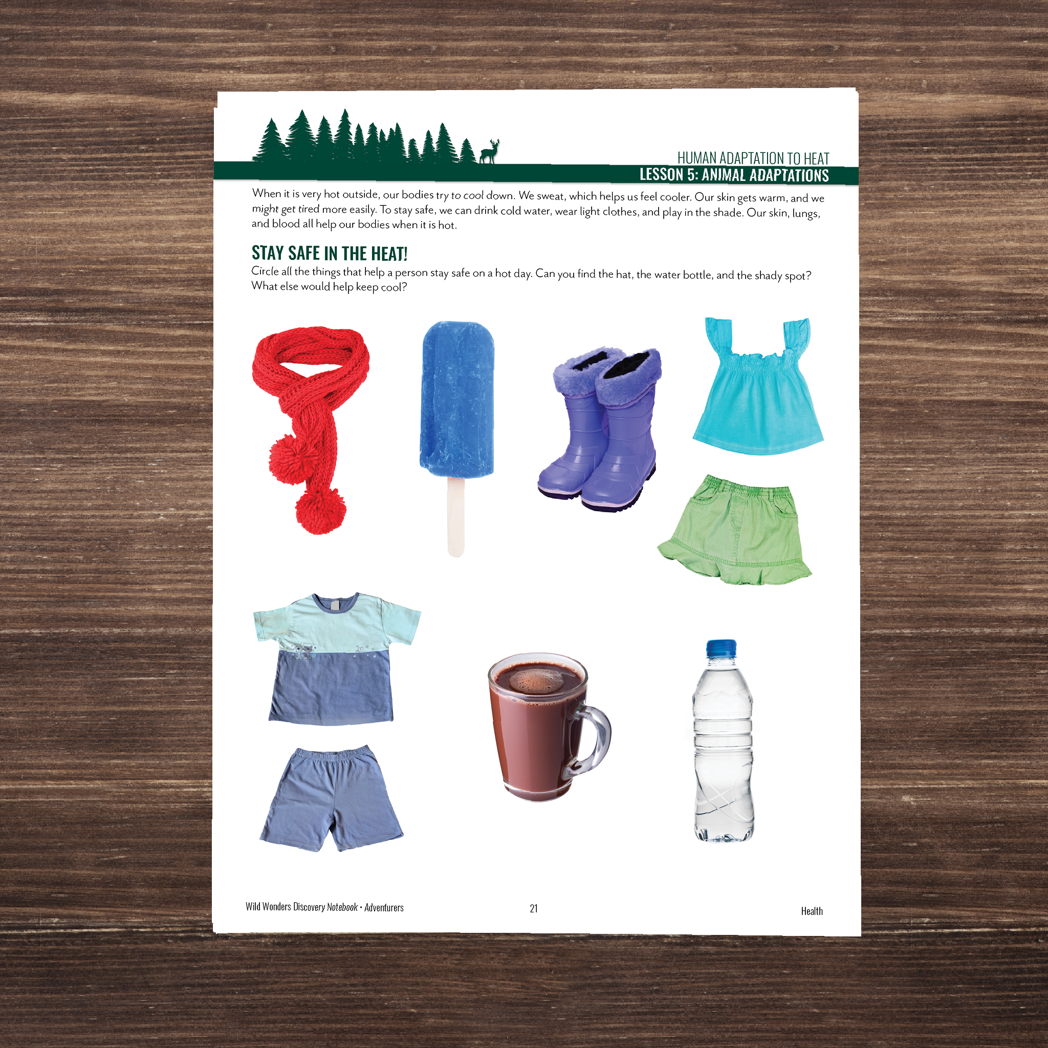 Wild Wonders: Full Family All-Inclusive Unit