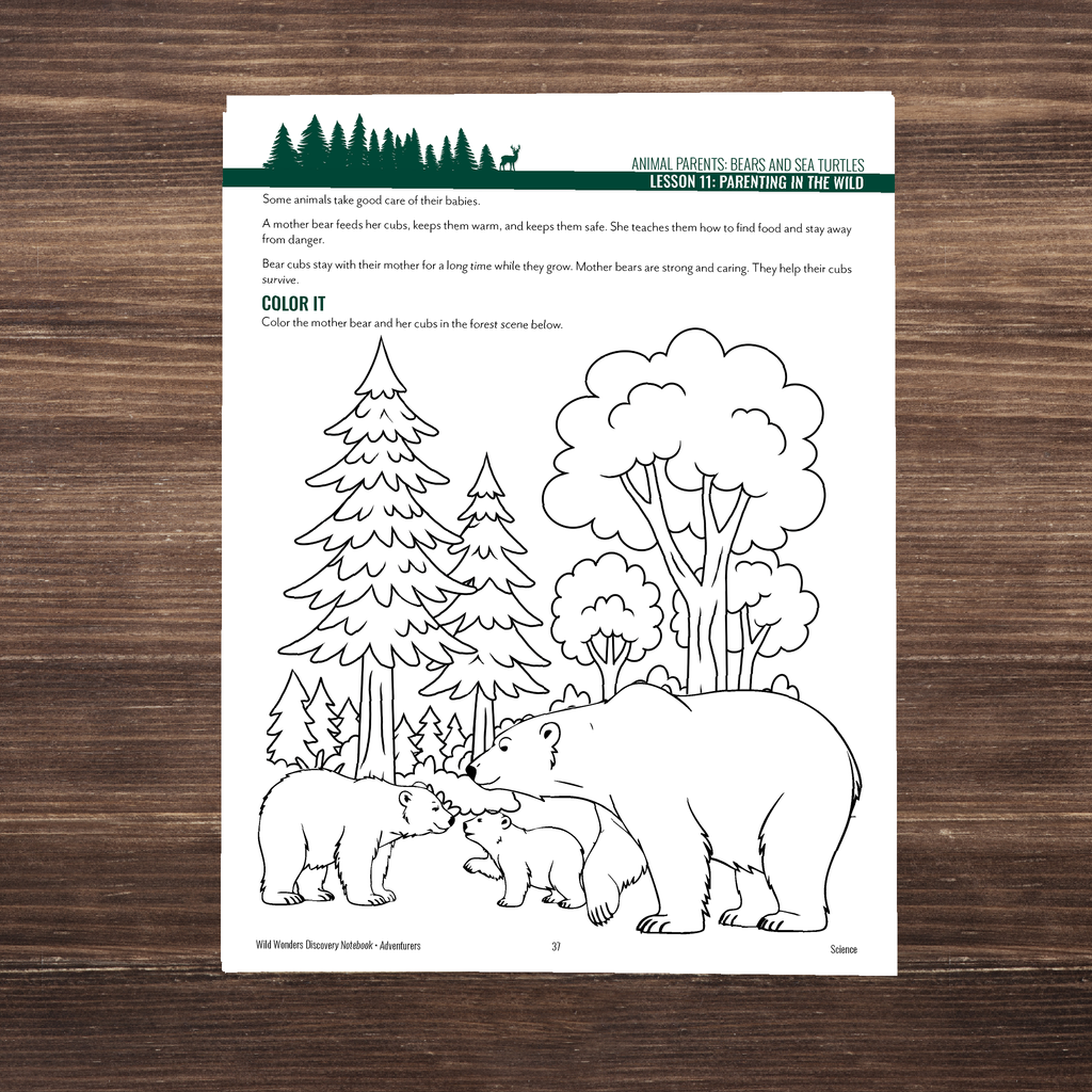 Wild Wonders: Full Family All-Inclusive Unit