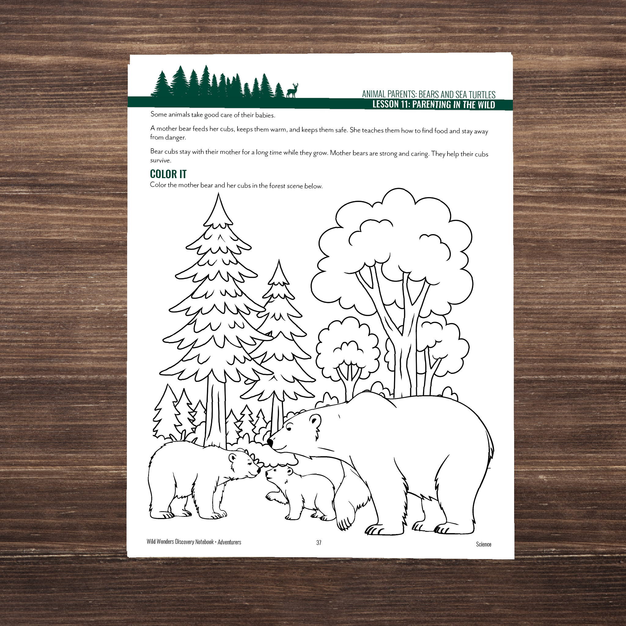 Wild Wonders: Full Family All-Inclusive Unit