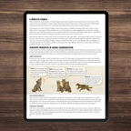 Wild Wonders: Full Family All-Inclusive Unit