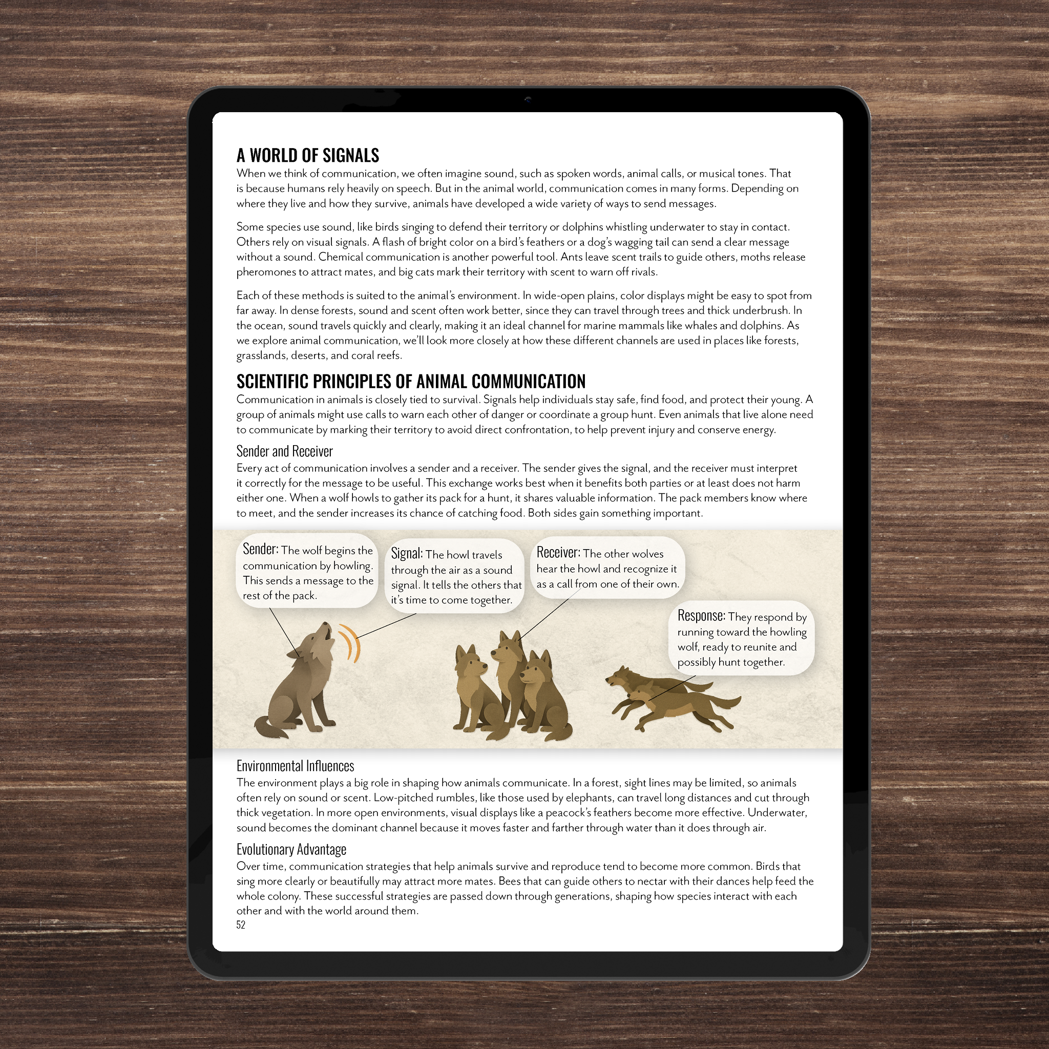 Wild Wonders: Full Family All-Inclusive Unit