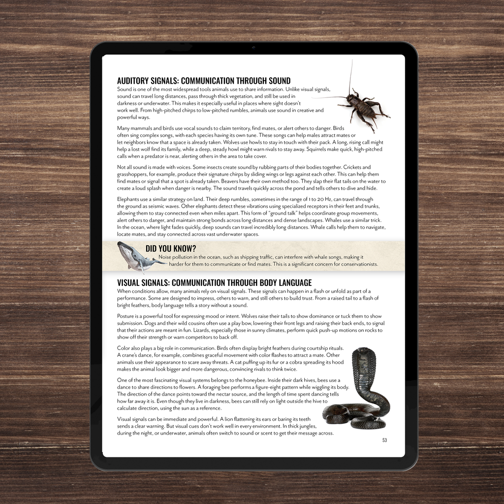 Wild Wonders: Full Family All-Inclusive Unit