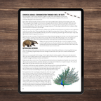 Wild Wonders: Full Family All-Inclusive Unit