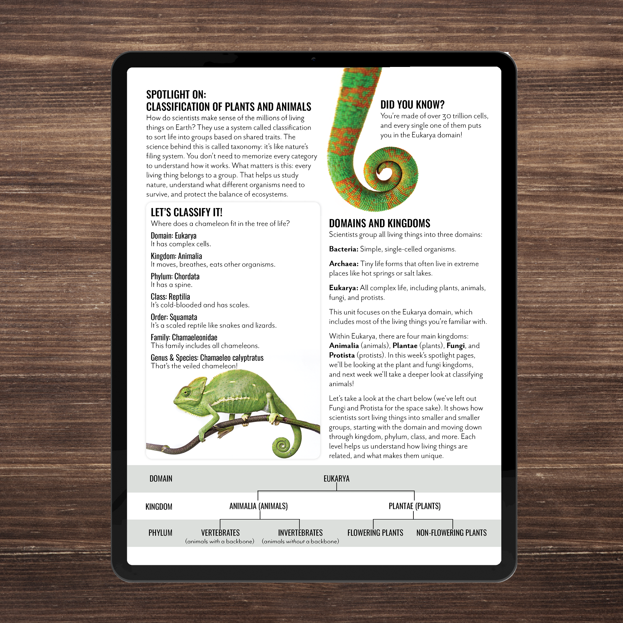 Wild Wonders: Full Family All-Inclusive Unit