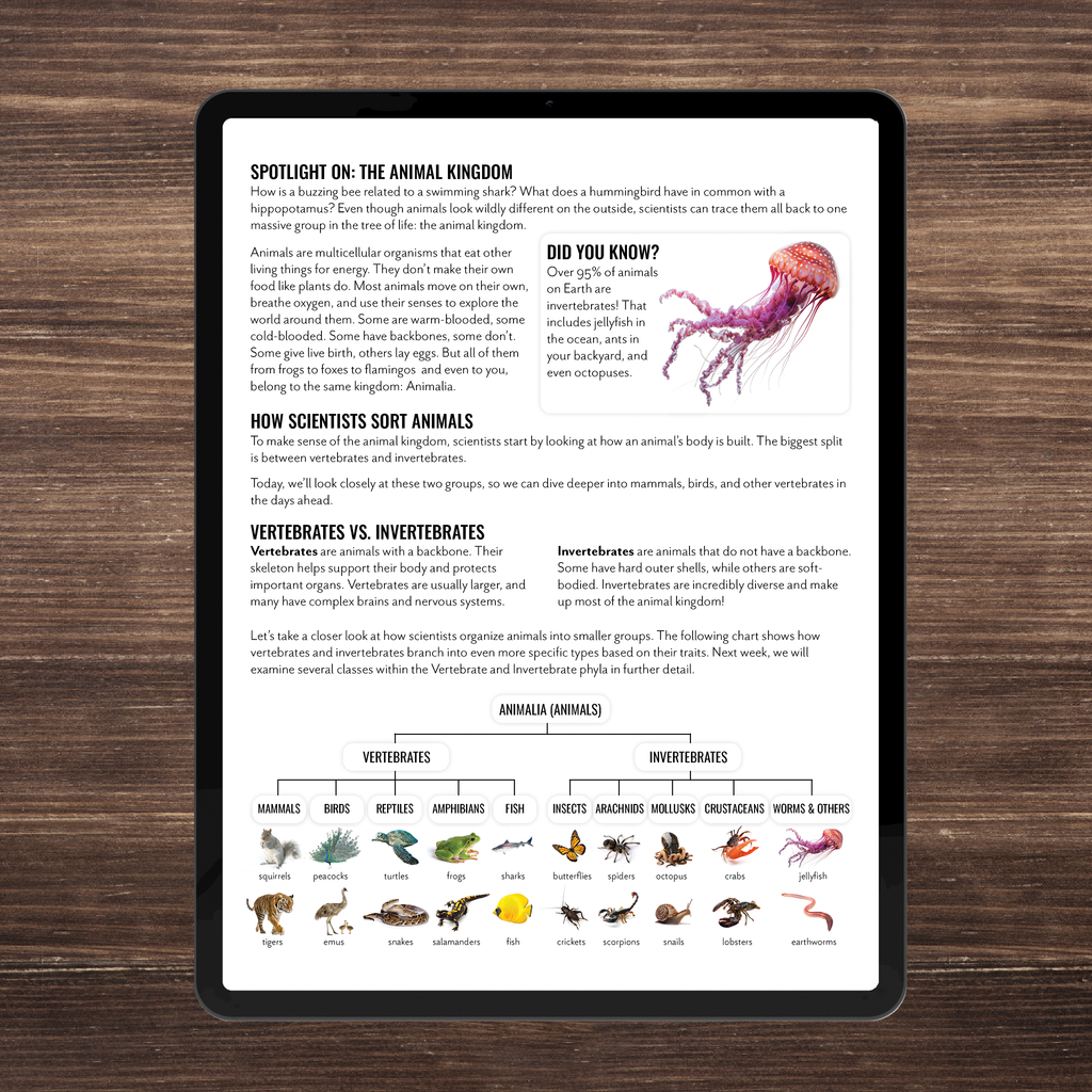 Wild Wonders: Full Family All-Inclusive Unit